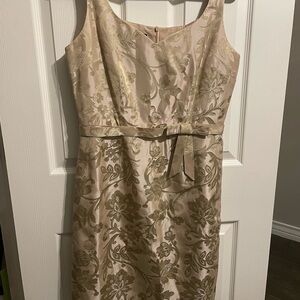Jones New York Dress in Champagne Beige